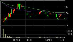 エスグラントコーポレーション（８９４３）上場廃止発表後２００９年３月１９日５分足チャート